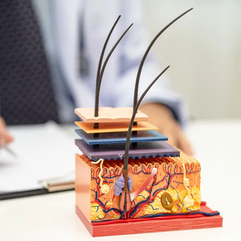 hälsokontroll vid håravfall medicinsk hälsokontroll